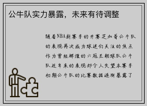 公牛队实力暴露，未来有待调整